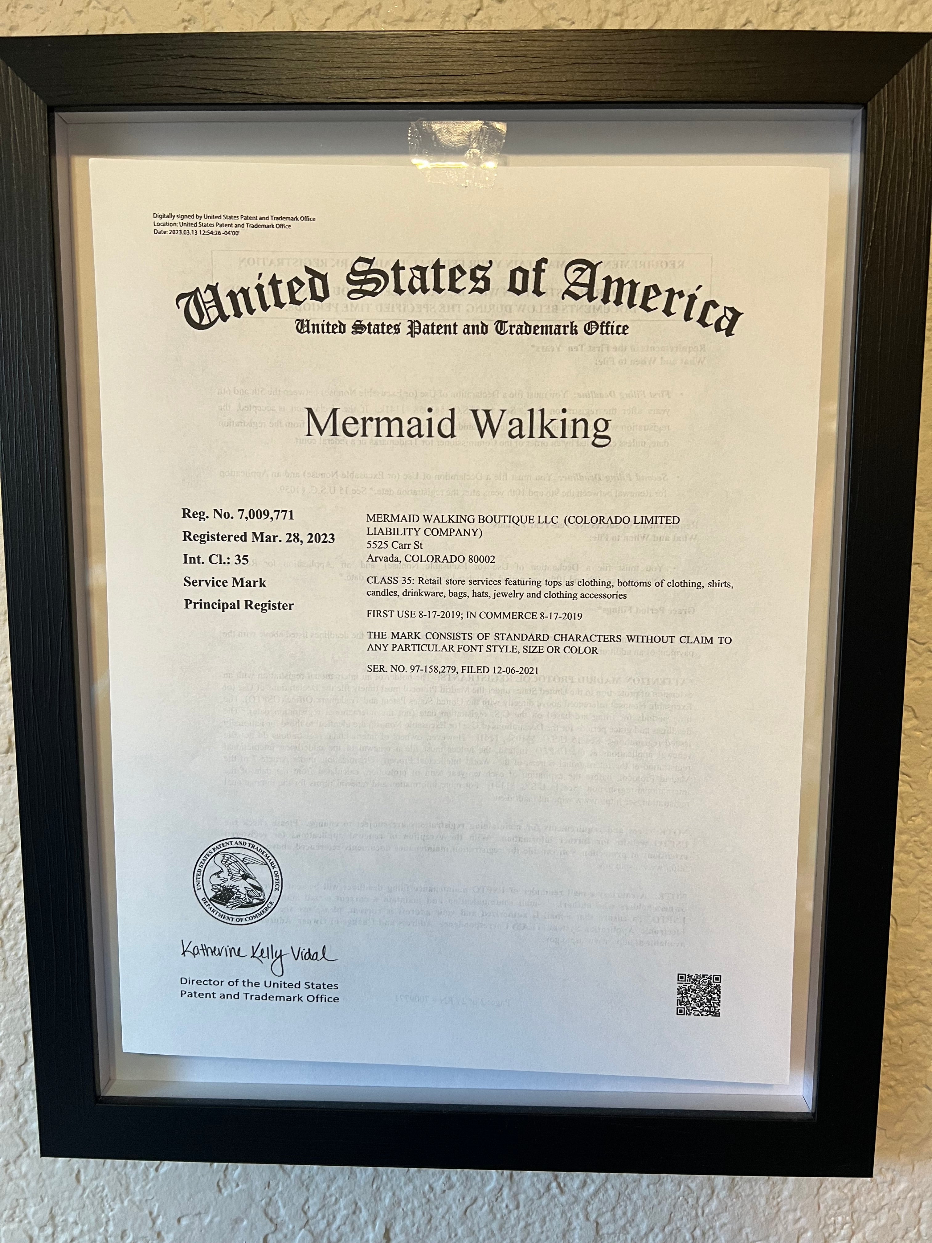 Mermaid Walking™️