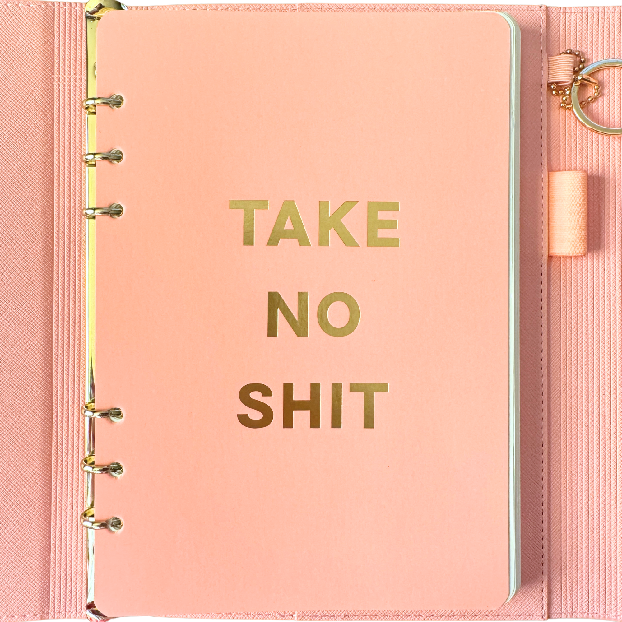 Take No Shit Vegan Leather Journal Planner (gift)